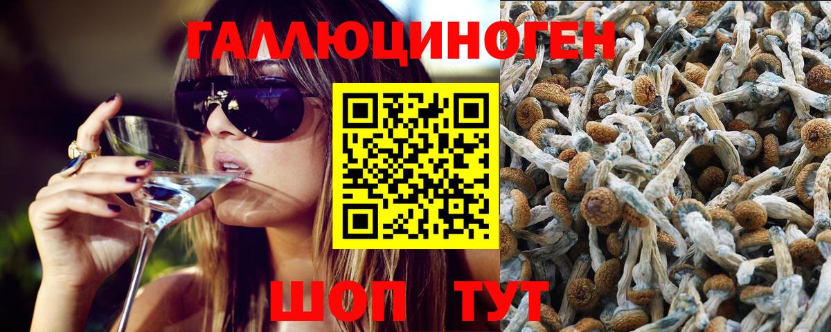 Химки  Галлюциногенные грибы Psilocybe  Псилоцибиновые грибы ЛСД  Вход с VPN 